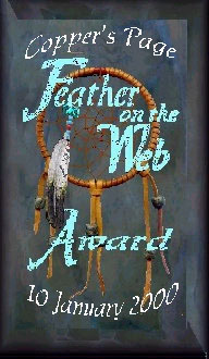 Feather on the Web-Copper-page award